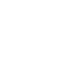 Custom AI/ML Software Development