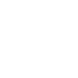 Data Science & Analytics