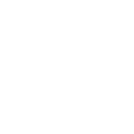 Predictive Analytics & Business Intelligence